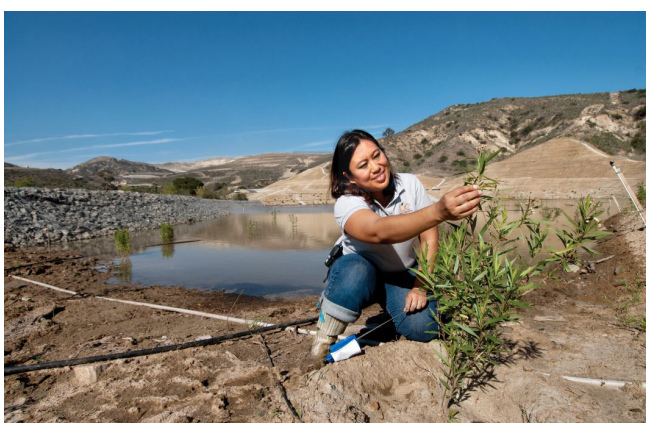 Landfill Habitat Preservation