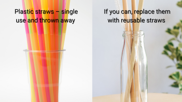 Skip the Straw Day