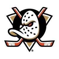 Ducks logo. Picture of a hocky mask with hocky sticks. 