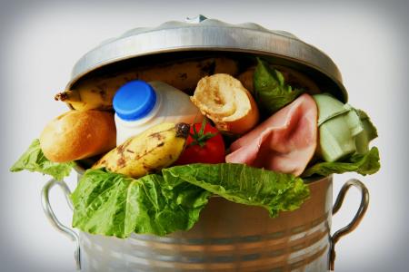 FoodWASTE