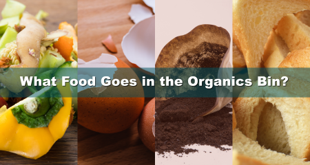 SB 1383 Organics Bin