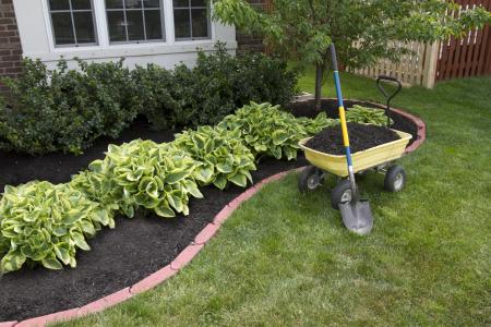 wagon full of topdressing for the garden