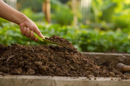 person holding small garden shovel scooping topsoil